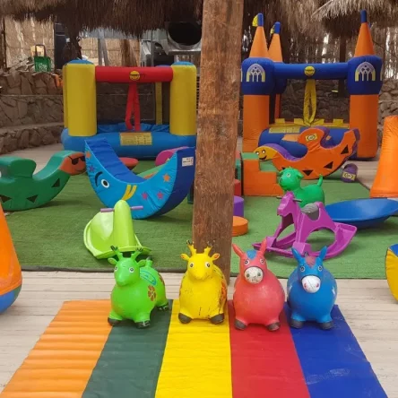 WhatsApp Image 2023-02-06 at 13.36.32 (8)