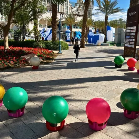 WhatsApp Image 2024-03-14 at 13.46.16